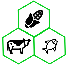 Sinocar Sarl – Leading Nigerian Agro-Commodity Exporter | Sesame, Ginger, Hibiscus