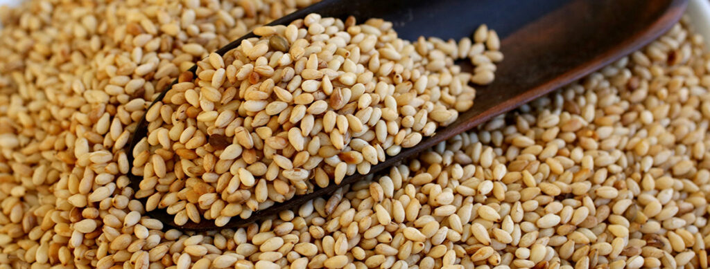 Sesame seed exporter in Nigeria